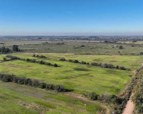 Pcia. de Buenos Aires - Marcos PAZ 185 Has