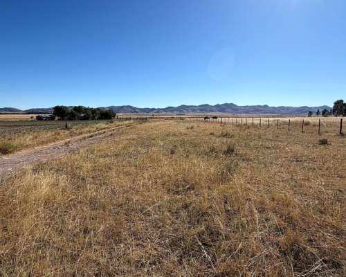 147 Has.- Saavedra -