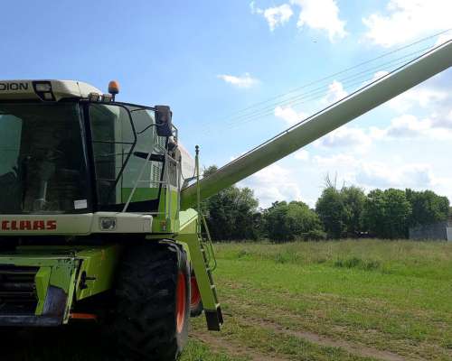 Máquina Claas Medion 310