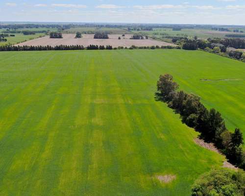 74 Has en Campana, BS. AS. - Agrícola/desarrollo - Venta