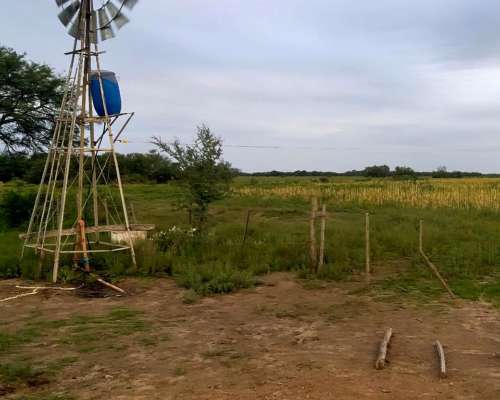 Campo Mixto 400has Tostado