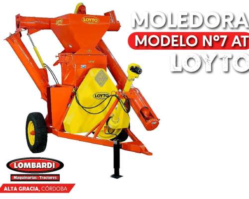 Moledora - Nº7 AT - Loyto