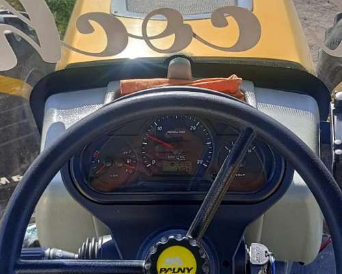 Pauny Audaz 220 año 2019