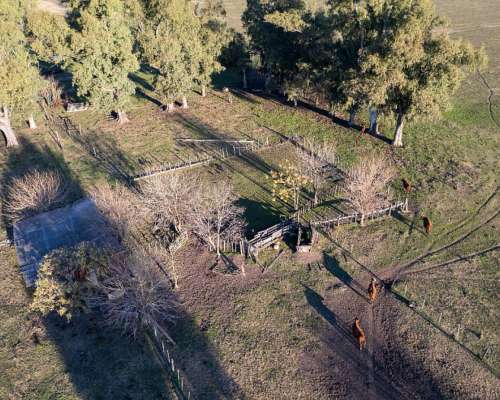 Campo en Venta en Marcos PAZ 48ha
