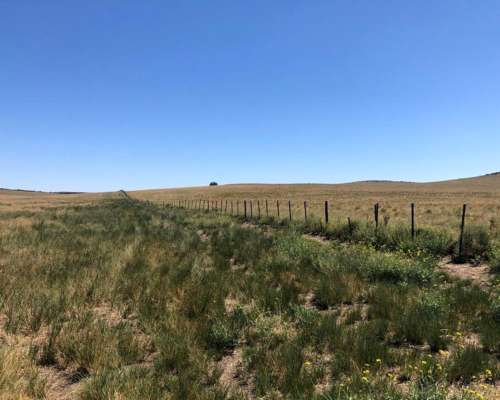 Campo 6500 Ha Sobre Ruta Puan, Bahia Blanca