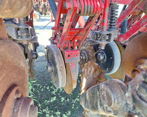 Semb Fino - Crucianelli Pionera 21 a 26