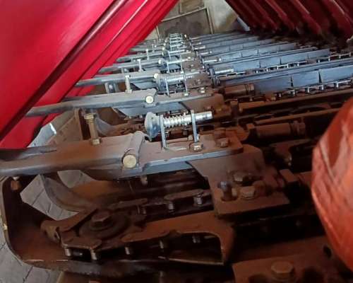 Maicero de Grande de 11 a 52 CMS