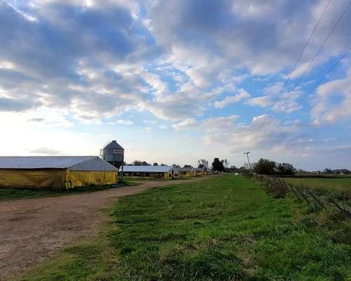 Granja en Venta Sobre la Ruta