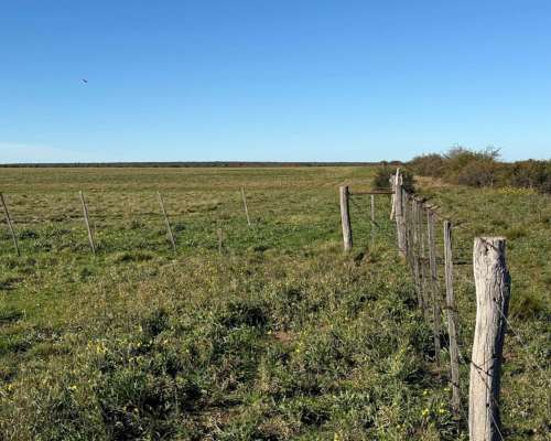 Campo en Venta – 734 Has Berraondo (villarino)