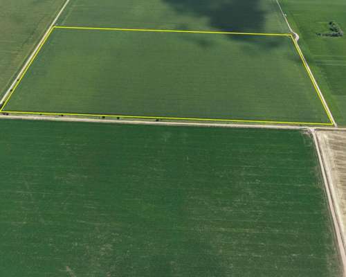 38 Has en Venado Tuerto. Suelo Clase 1 - IP: 87%.