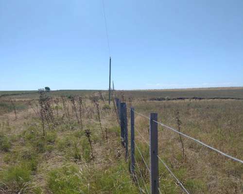 Campo Agricola Ganadero de 35 Hectareas