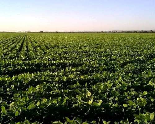 Pcia. de Catamarca - Bañado de Ovanta 437 Has