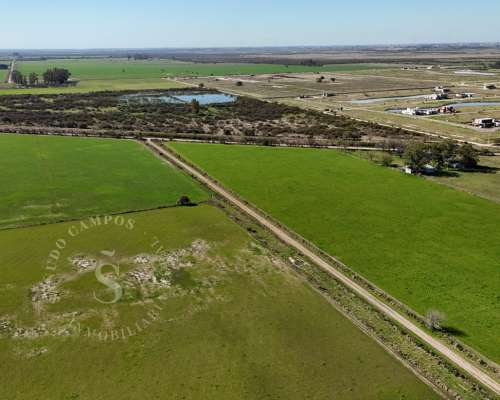 Campo Venta Santo Tomé, Santa FE. Zona Countries. 54 Ha