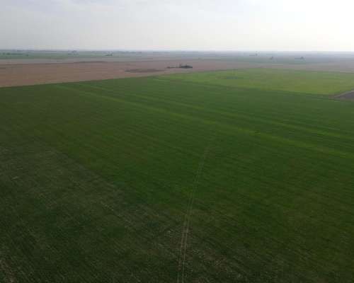 39 Has Agrícolas - San Fabian (sta FE) Sobre Autopista.