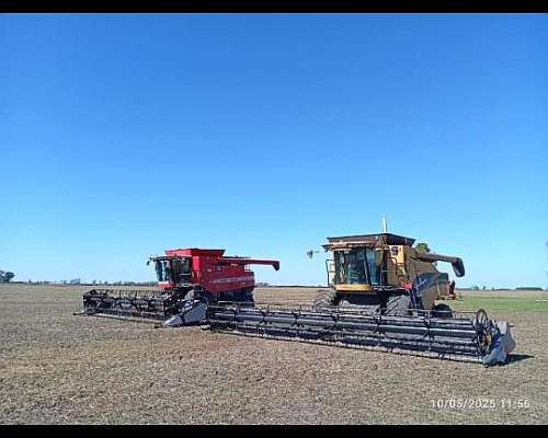 Servios de Cosecha Fina y Gruesa