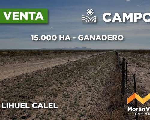 15.000 Ha Ganaderas en Lihuel Calel
