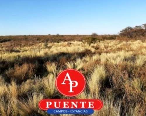 En Venta 2500, Cuchillo CÓ, la Pampa