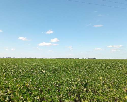 Venta 40 Ha en Monte Cristo