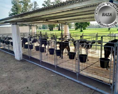 Guacheras Móviles para 20 Terneros