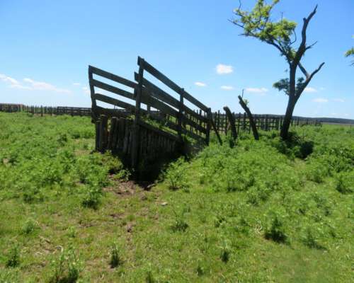 Paraje Oliden - 220 Ha - Buenos Aires