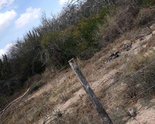 Campo Santiago del Estero - Lomas Blancas