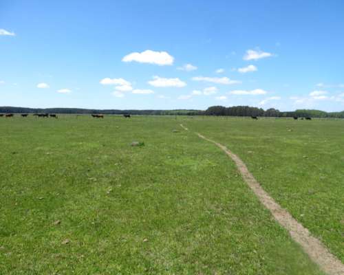 Paraje Oliden - 220 Ha - Buenos Aires