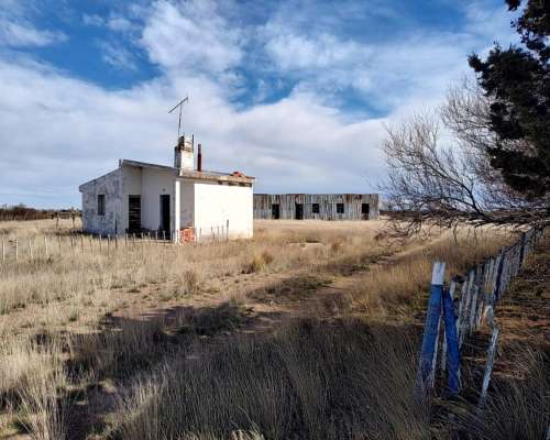Campo en Peninsula Valdes Chubut 10.000 Ha Costa al MAR