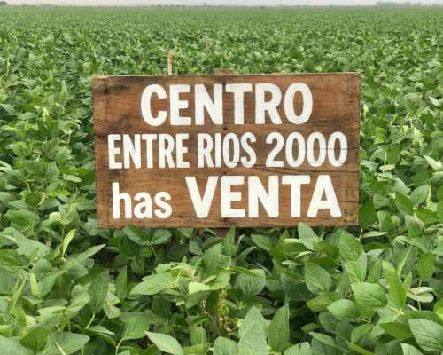 Ea 2500 Has .venta Agricolas Ruta 12