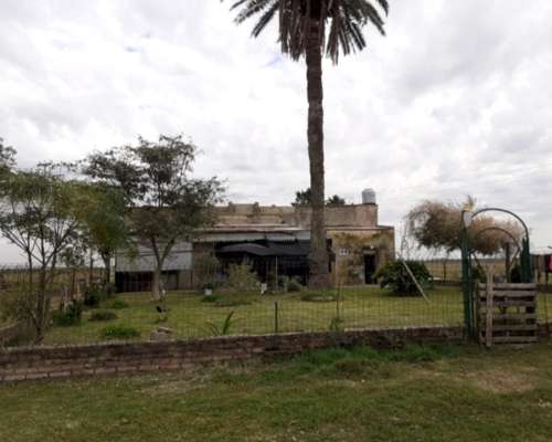 130 Ha Ganaderas en Pilar