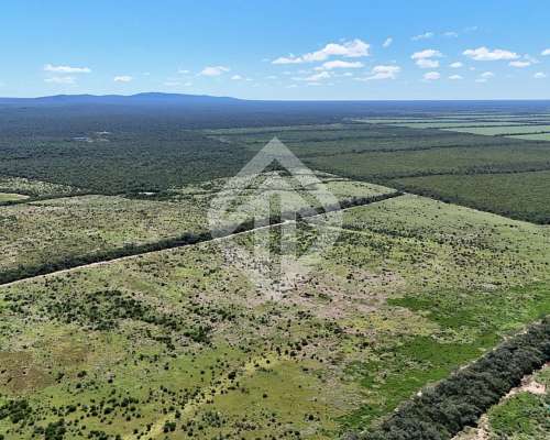 En Venta 6600 Hectáreas Mixtas en la Estrella - Salta