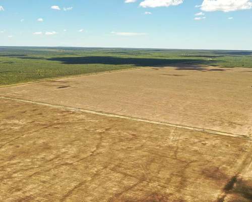 Jarilla, Capital, San Luis, Argentina