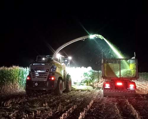 Maquinista para Picadora Class