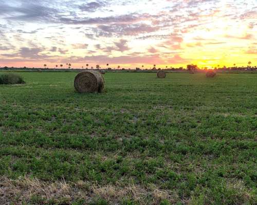 Campo Ganadero en Producción Federal E.r.