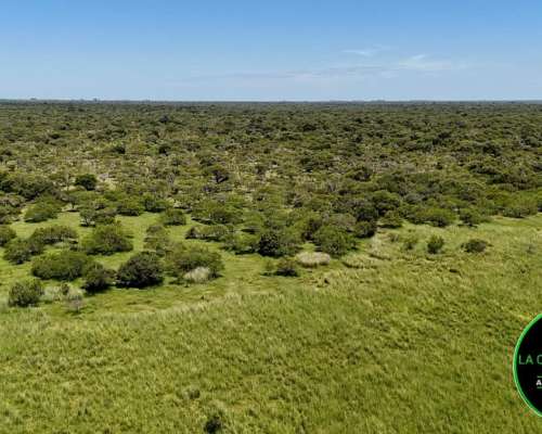 Vendo Campo Ganadero 430 H.A Zona Chajari E.R