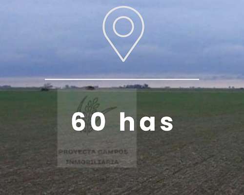 Se Vende Campo Agricola