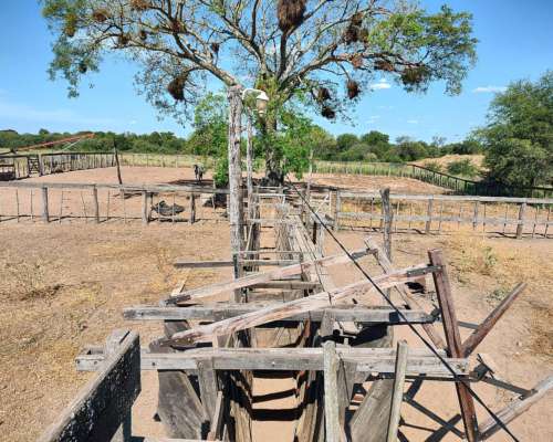 Campo Ganadero en Juan Jose Castelli