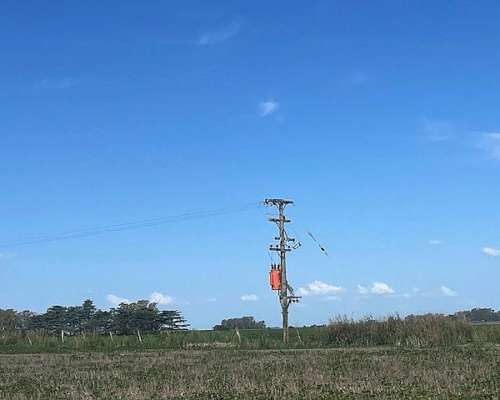 Campo de 210 Has en Venta Riego y Mejoras