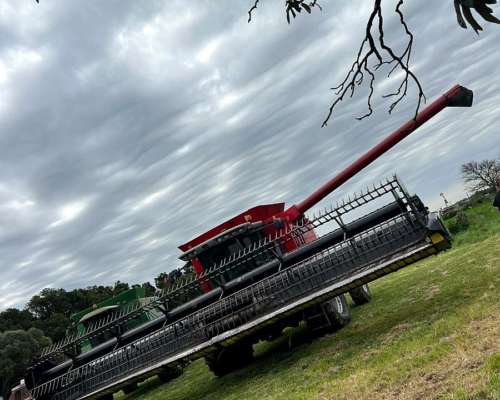 Cosechadora Massey Ferguson 9790 375 HP Draper 35 2012