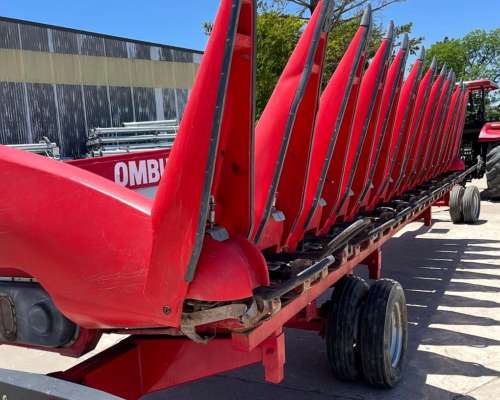 Maicero Ombu 2020 13 a 0.52