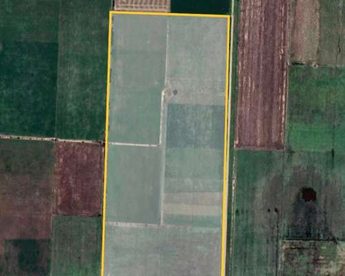 Se Venden 43 Ha Agricolas en Lopez