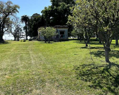 Campo Mixto en Venta