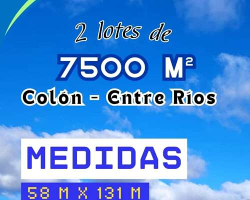 Campito de 1 1/2 Hectárea o Dos Lotes de 7500 M2