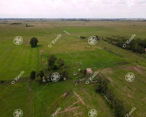 Campo Mixto en Venta 90 Has en Ranchos, con Buen Acceso