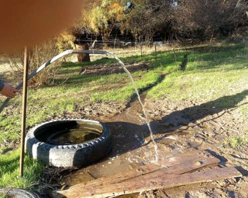 1.140 Ha Excelente Campo de Monte en San German, Puan