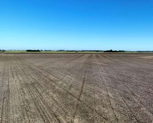 60 Ha Alem, Prov. de Buenos Aires