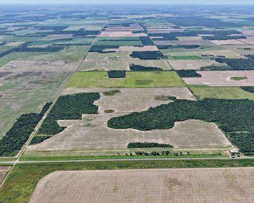 89 Has en Venta - Pcia del Chaco, las Breñas