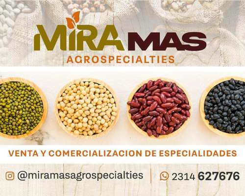Todo Tipo de Especialidades (garbanzo, Porotos, Lino, Etc.)