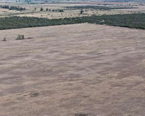 115 Has Aptitud Agrícolas SA Pereira las Colonias Santa FE