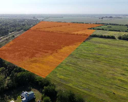 Campo en 20 de Junio - 30 Hectáreas