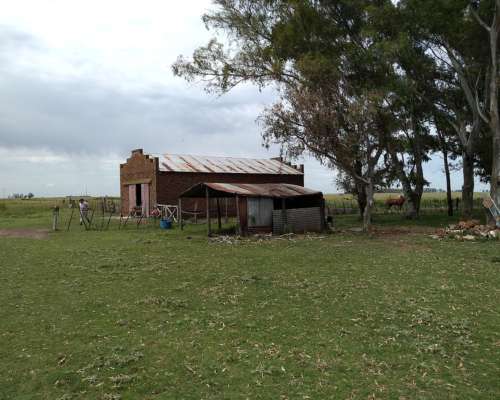 Ba3258 880 Has, Campo Ganadero Sobre Ruta en Gral Lamadrid